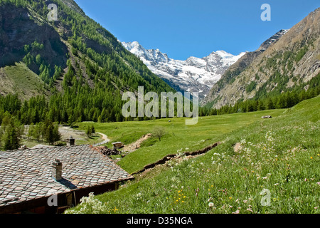 Paesaggio di Valnontey il Parco Nazionale del Gran Paradiso, tra Piemonte e Valle d'Aosta, Graian Alps, Italia Foto Stock