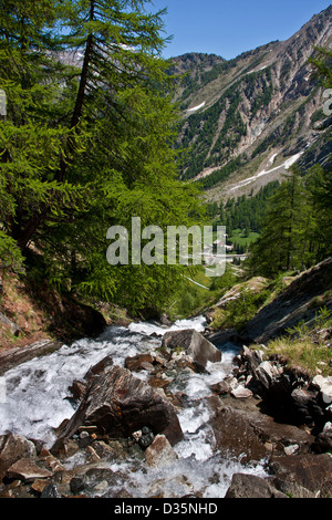 Creek che scorre attraverso la foresta nel Parco Nazionale del Gran Paradiso, tra Piemonte e Valle d'Aosta, Graian Alps, Italia Foto Stock