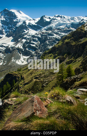 Vista del paesaggio del Parco Nazionale del Gran Paradiso, Graian Alps - Italia Foto Stock