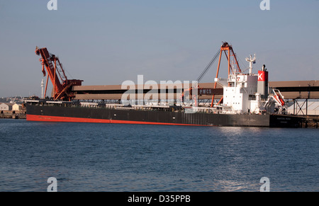 MV Pantera Rosa a secco alla rinfusa Caricamento vettore carbone dal terminale di Carrington Newcastle Nuovo Galles del Sud Australia Foto Stock