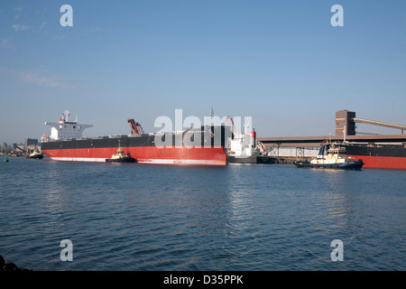 Secco Panamax Portarinfuse MV Samcheonpo molla arrivando a Newcastle con rimorchiatore a traino assistenza a carico del carbone di esportazione per il Giappone Foto Stock