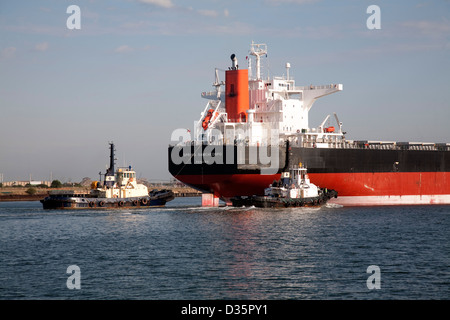 Secco Panamax Portarinfuse MV Samcheonpo molla essendo assistito a lei al posto di ormeggio da due rimorchiatori Foto Stock