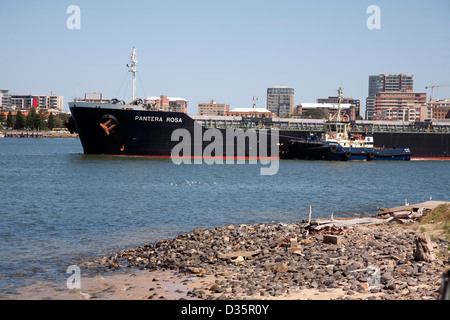 Asciugare Portarinfuse MV Pantera Rosa che trasportano carbone partono da Newcastle Nuovo Galles del Sud uno dei mondi più trafficati porti di carbone Foto Stock