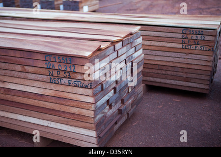 CONGO, 27 sett 2012: tagliare legname di legno duro in una registrazione della concessione legname in attesa di spedizione al di fuori del paese per l'esportazione. Foto Stock