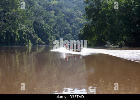 CONGO, 29 Settembre 2012: un bi-gruppo nazionale di ecoguards del Camerun e del Gabon la pattuglia Messok Dja National Park, cercando per i cacciatori di frodo. Foto Stock