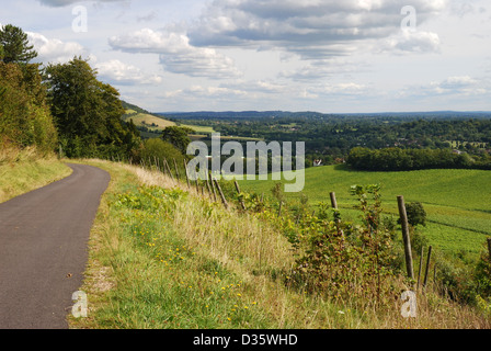 Percorso su North Downs vicino a Dorking in Surrey. In Inghilterra. Guardando a Nord. Foto Stock