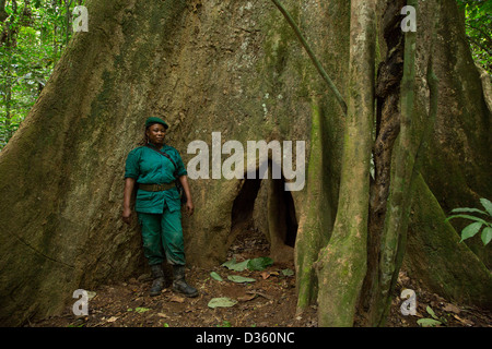 CONGO, 29 Settembre 2012: Sidone Aseme, una femmina ecoguard camerunese è in un bi-gruppo nazionale di ecoguards dal Camerun e Gabon patrol alla ricerca di prove della fauna selvatica di frodo. Foto Stock