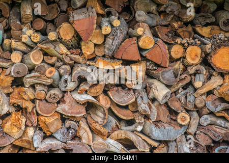 Pila di legna da ardere tritata e spaccata preparata per l'uso come carburante. Foto Stock