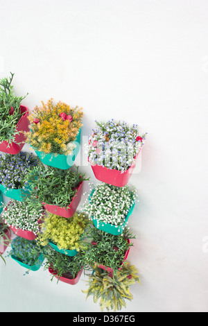 Fiori di plastica colorata con vaso in plastica appendere in fila sulla parete. Foto Stock
