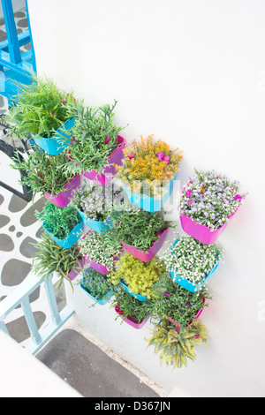 Fiori di plastica colorata con vaso in plastica appendere in fila sulla parete. Foto Stock