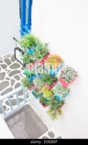 Fiori di plastica colorata con vaso in plastica appendere in fila sulla parete. Foto Stock