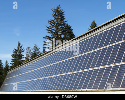 Le celle solari / Solarzellen Foto Stock
