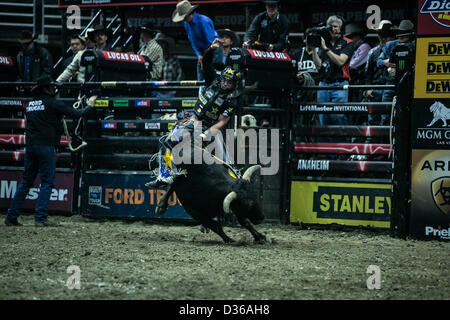 08.02.2013. Anaheim, Califonria, STATI UNITI D'AMERICA. Chase fuorilegge (Amburgo, AR) riding bull Buckstop durante la Professional Bull Riders, Liftmaster Invitational all'Honda Center di Anaheim, CA. Azione Sport Plus Immagini / Alamy Foto Stock