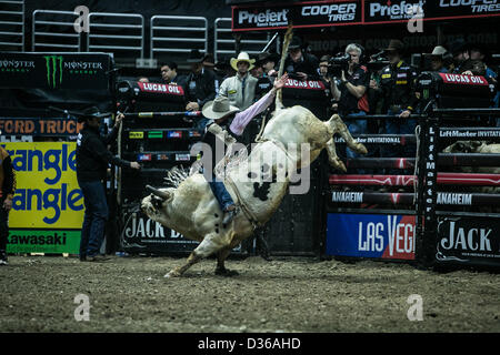 08.02.2013. Anaheim, Califonria, STATI UNITI D'AMERICA. Jory Markiss (Longmont, CO) riding bull turbine durante la Professional Bull Riders, Liftmaster Invitational all'Honda Center di Anaheim, CA. Azione Sport Plus Immagini / Alamy Foto Stock