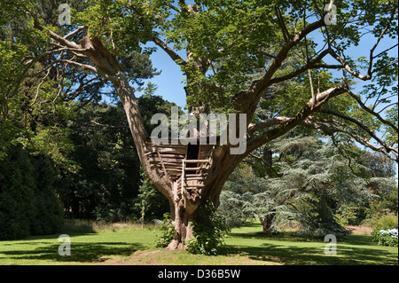 Una casa sull'albero nei giardini di Plas Newydd, Anglesey, Galles, Regno Unito Foto Stock