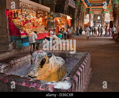 Vacca sacra Sri Meenakshi Amman tempio indù ( dedicato a Parvati - Meenakshi- Shiva- Sundareswarar ) Madurai India Foto Stock