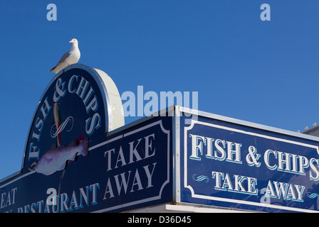 Gabbiano seduta sul pesce e segno di chip, Brighton, Sussex, Inghilterra Foto Stock