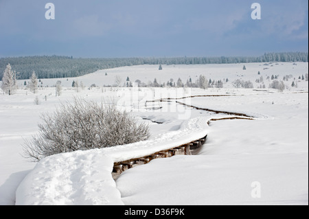 Avvolgimento passerella in legno in coperta di neve la brughiera in inverno, riserva naturale di Hautes Fagnes / Hautes Fagnes, Ardenne belghe, Belgio Foto Stock