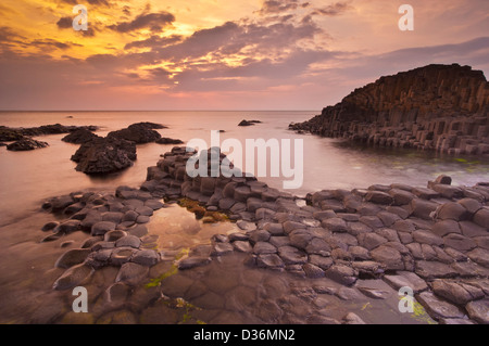 Giants Causeway Irlanda del Nord - colonne basaltiche esangonali della Giants Causeway North Antrim Coast, County Antrim, Irlanda del Nord, GB, UK Europe Foto Stock