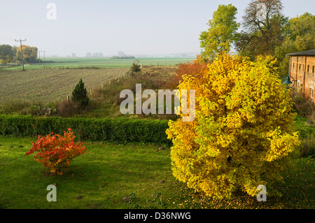 Mühlenbeck, Meclemburgo-Pomerania Occidentale, Germania, Europa Foto Stock