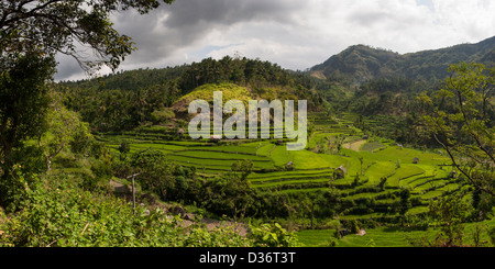 Una vista panoramica di una bella risaie circondata da colline a est Collina Paese di Bali, Indonesia. Foto Stock