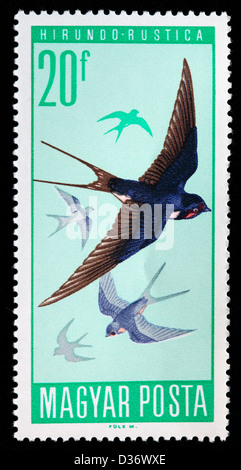 Barn Swallow (Hirundo rustica), francobollo, Ungheria, 1966 Foto Stock