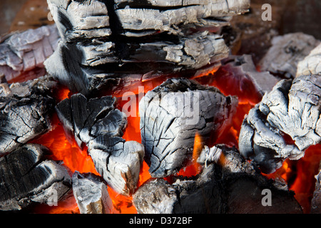 Combustione del carbone Foto Stock