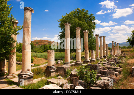 Pilastri del romano Sud Agora, Aphrodisias sito archeologico, Turchia Foto Stock