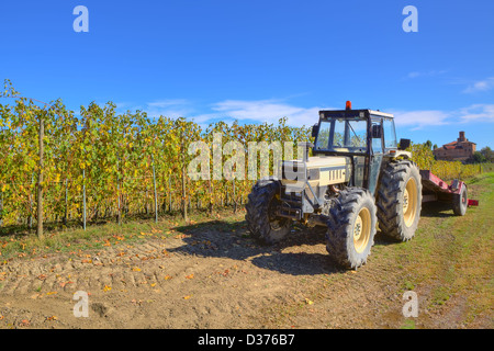 Trattore agricolo sul terreno tra i vigneti in crescita sotto il cielo blu chiaro in Piemonte, Italia settentrionale. Foto Stock