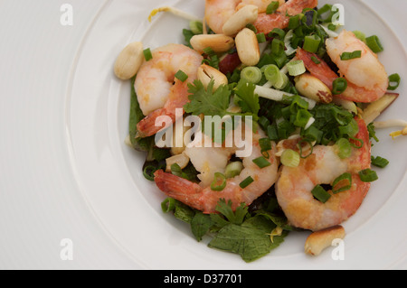 Insalata di gamberi con menta, basilico e croccante di arachidi è servito in una ciotola bianco Foto Stock