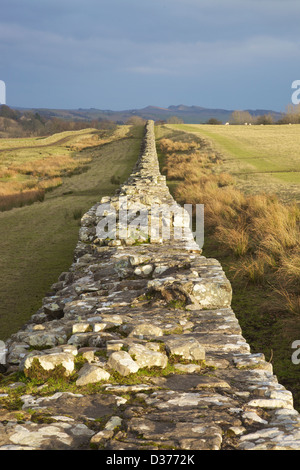 Birdoswald vallo di Adriano Northumbria England Regno Unito Gran Bretagna Foto Stock