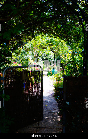 Giardino recinto e porta d'ingresso nel buio di un giardino nella luce del sole su Isola Dangar NSW, Australia Foto Stock