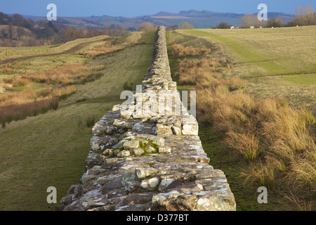 Birdoswald vallo di Adriano Northumbria England Regno Unito Gran Bretagna Foto Stock