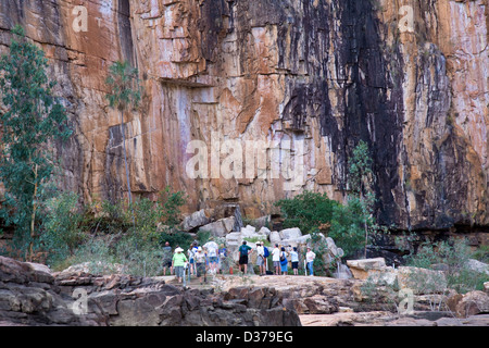 Tour gruppo esamina di arte rupestre degli Aborigeni, Nitmiluk (Katherine Gorge), il Parco Nazionale del Territorio del Nord, l'Australia Foto Stock