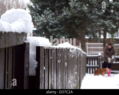 La signora e il cane nella neve. Foto Stock