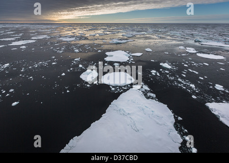 Pancake Ice-North Oceano Atlantico pranzo ice-barca a vela tra le isole Svalbard e la Groenlandia Foto Stock