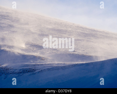 Tempesta di neve soffiata su venti forti sul Cairngorm altopiano, Scotland, Regno Unito. Foto Stock