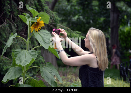 Donna prendendo un telefono cellulare vicino la foto di un girasole in Washington Square Park nel Greenwich Village, Manhattan New York City Foto Stock