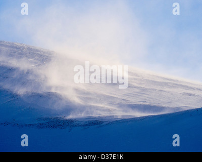 Tempesta di neve soffiata su venti forti sul Cairngorm altopiano, Scotland, Regno Unito. Foto Stock