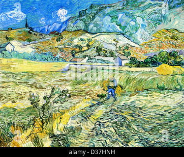 Vincent van Gogh, campo recintato con contadino . 1889. Post-Impressionism. Olio su tela. Indianapolis Museum of Art,Indianapolis Foto Stock