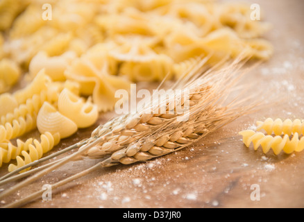 Diversi tipi di pasta e grano orecchio Foto Stock