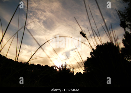 Tramonto a Mar de las Pampas, Argentina. Foto Stock