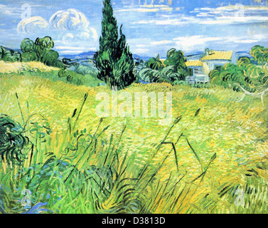 Vincent van Gogh, Verde Campo di grano con cipressi . 1889. Post-Impressionism. Olio su tela. Národni Galerie di Praga Foto Stock