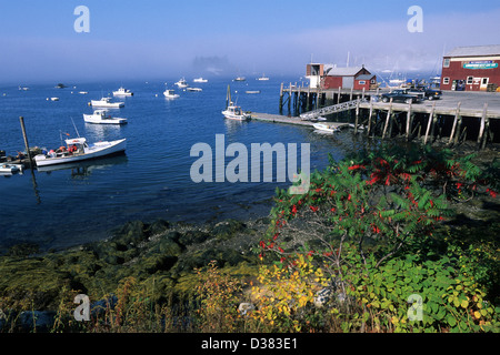 Elk282-1376 Maine, Boothbay Harbor, la pesca del molo Foto Stock