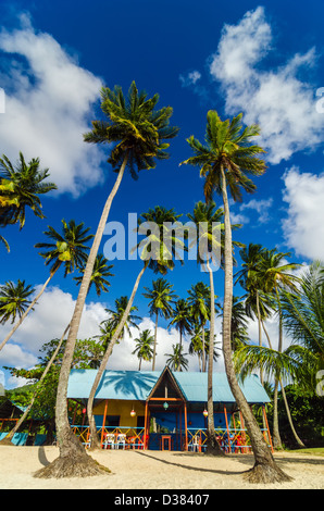 Pittoresca spiaggia di capanna e le palme in San Andres y Providencia, Colombia Foto Stock