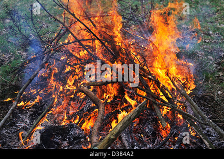 Fuoco all'aperto, giardino di masterizzazione detriti e ritagli di diramazione Foto Stock