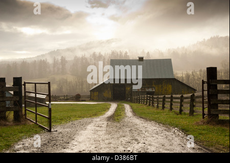 Un classico vecchio fienile in ambiente rurale di San Juan Island Washington, Stati Uniti d'America. Foto Stock