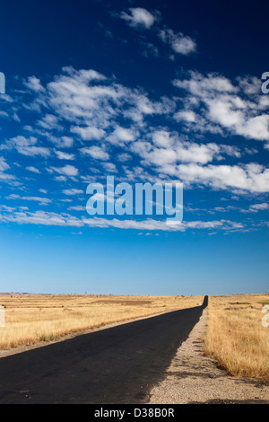 Madagascar, Ilakaka, RN7 national highway, lunga strada vuota allungamento all' orizzonte Foto Stock