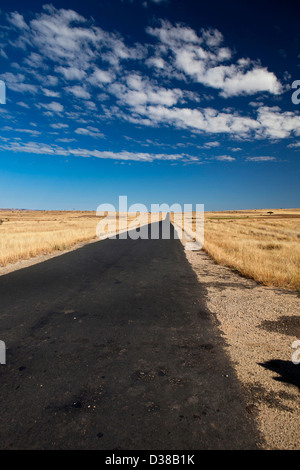 Madagascar, Ilakaka, RN7 national highway, lunga strada vuota allungamento all' orizzonte Foto Stock