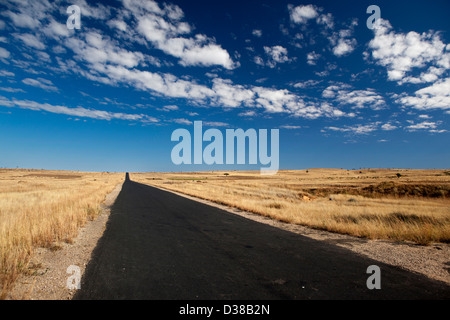 Madagascar, Ilakaka, RN7 national highway, lunga strada vuota allungamento all' orizzonte Foto Stock